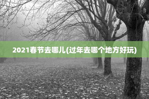 2021春节去哪儿(过年去哪个地方好玩)