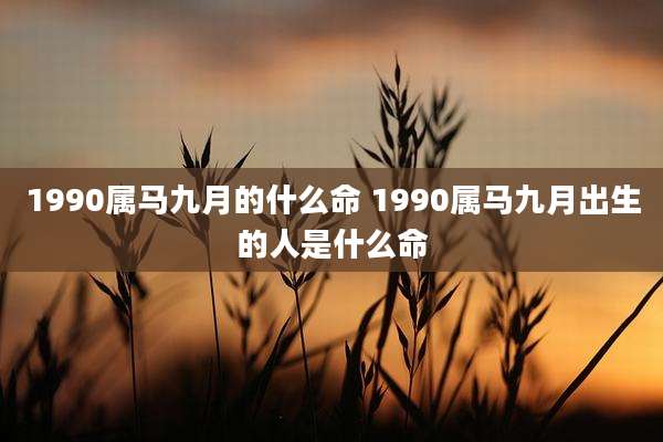 1990属马九月的什么命 1990属马九月出生的人是什么命