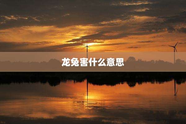 龙兔害什么意思
