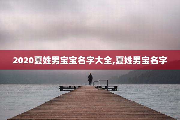 2020夏姓男宝宝名字大全,夏姓男宝名字