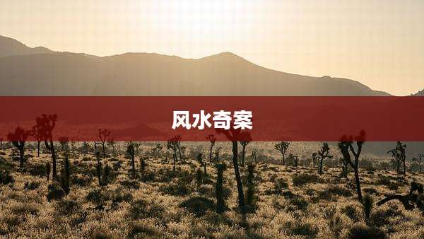 风水奇案
