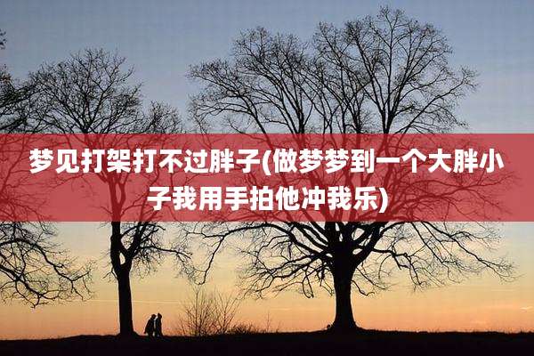 梦见打架打不过胖子(做梦梦到一个大胖小子我用手拍他冲我乐)