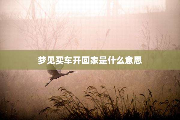 梦见买车开回家是什么意思