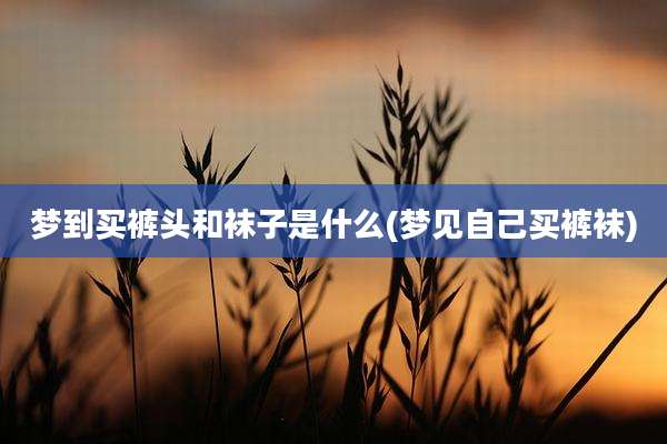 梦到买裤头和袜子是什么(梦见自己买***)