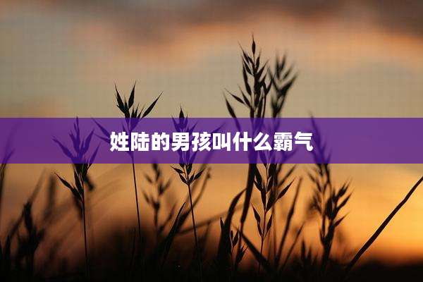 姓陆的男孩叫什么霸气