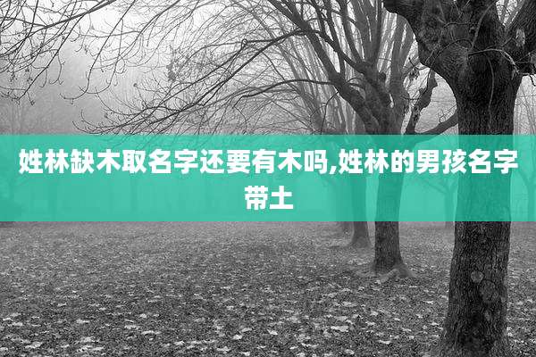 姓林缺木取名字还要有木吗,姓林的男孩名字带土