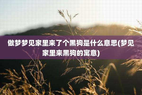 做梦梦见家里来了个黑狗是什么意思(梦见家里来黑狗的寓意)