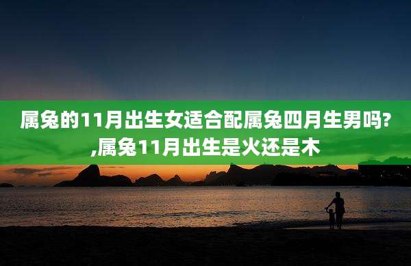 属兔的11月出生女适合配属兔四月生男吗?,属兔11月出生是火还是木