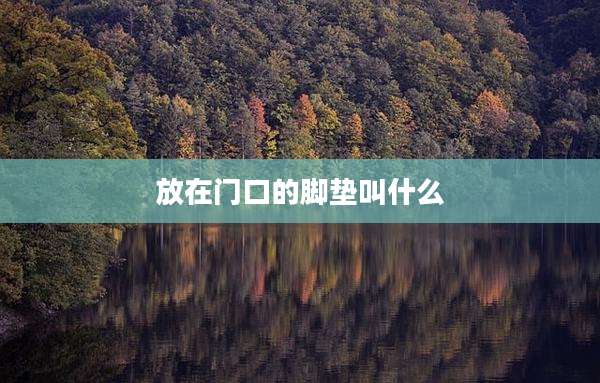 放在门口的脚垫叫什么
