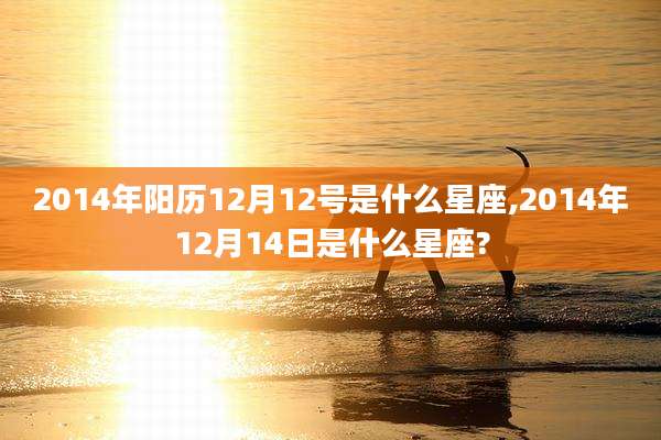 2014年阳历12月12号是什么星座,2014年12月14日是什么星座?