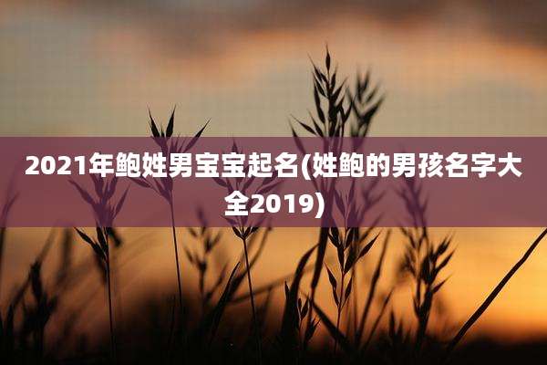 2021年鲍姓男宝宝起名(姓鲍的男孩名字大全2019)