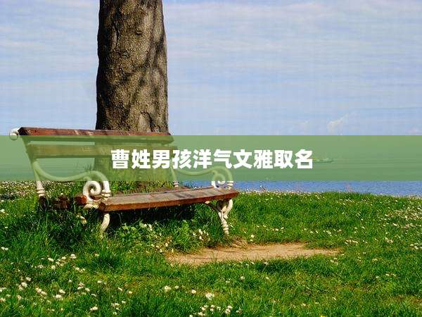 曹姓男孩洋气文雅取名