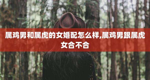 属鸡男和属虎的女婚配怎么样,属鸡男跟属虎女合不合