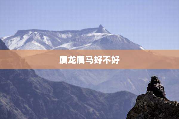 属龙属马好不好