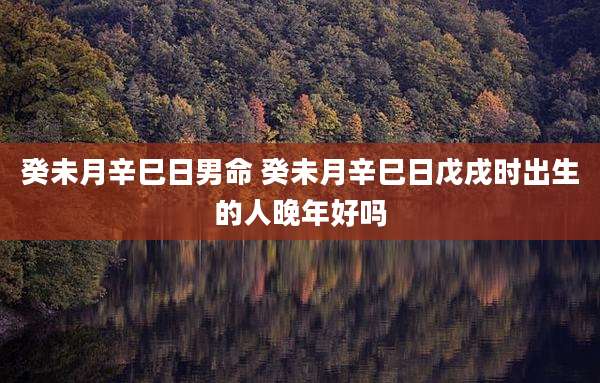 癸未月辛巳日男命 癸未月辛巳日戊戌时出生的人晚年好吗