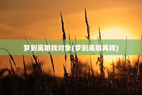 梦到离婚找对象(梦到离婚再找)