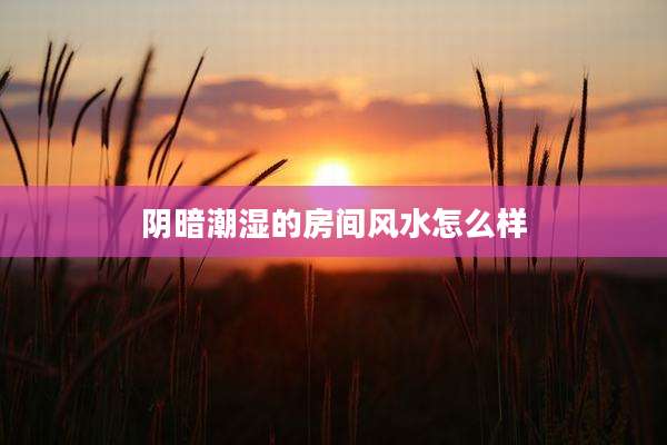 阴暗潮湿的房间风水怎么样