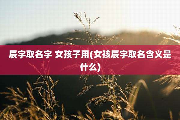 辰字取名字 女孩子用(女孩辰字取名含义是什么)