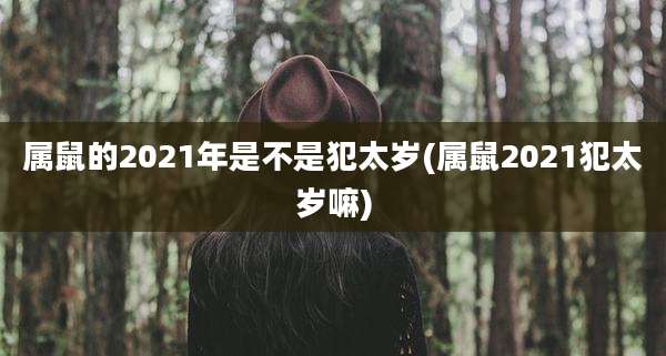 属鼠的2021年是不是犯太岁(属鼠2021犯太岁嘛)
