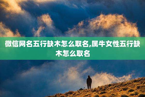 微信网名五行缺木怎么取名,属牛女性五行缺木怎么取名
