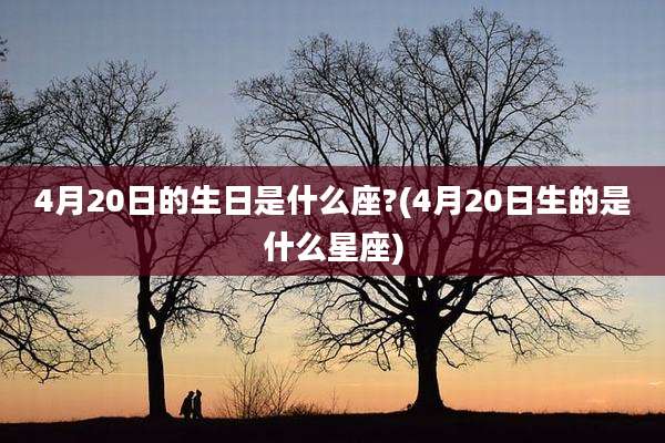 4月20日的生日是什么座?(4月20日生的是什么星座)