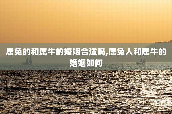 属兔的和属牛的婚姻合适吗,属兔人和属牛的婚姻如何