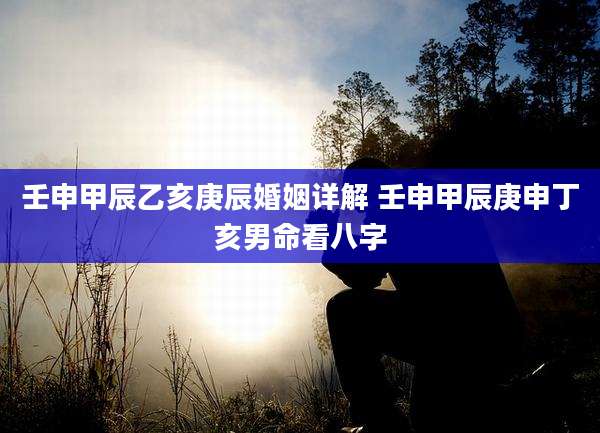 壬申甲辰乙亥庚辰婚姻详解 壬申甲辰庚申丁亥男命看八字