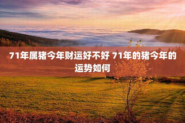 71年属猪今年财运好不好 71年的猪今年的运势如何