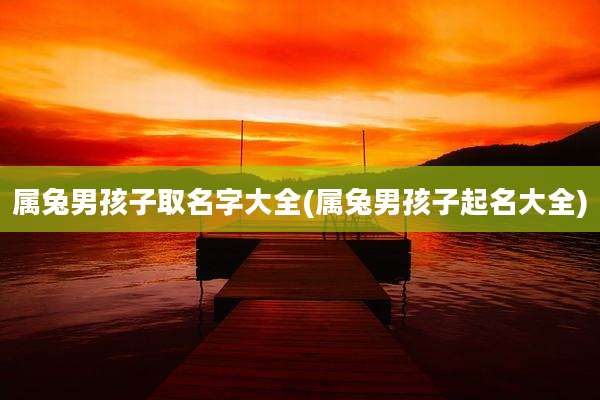属兔男孩子取名字大全(属兔男孩子起名大全)