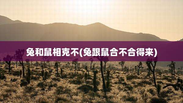 兔和鼠相克不(兔跟鼠合不合得来)