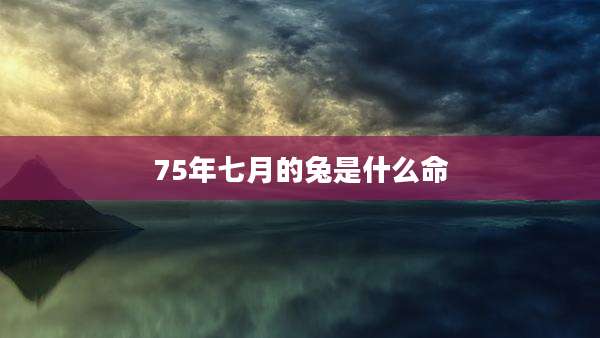 75年七月的兔是什么命