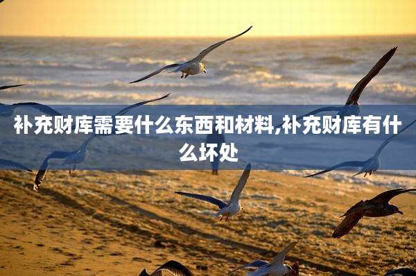 补充财库需要什么东西和材料,补充财库有什么坏处