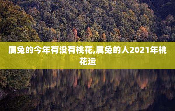属兔的今年有没有桃花,属兔的人2021年桃花运