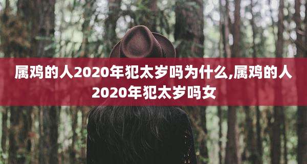 属鸡的人2020年犯太岁吗为什么,属鸡的人2020年犯太岁吗女