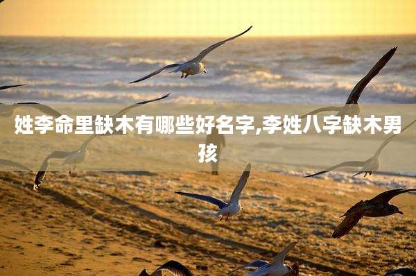 姓李命里缺木有哪些好名字,李姓八字缺木男孩