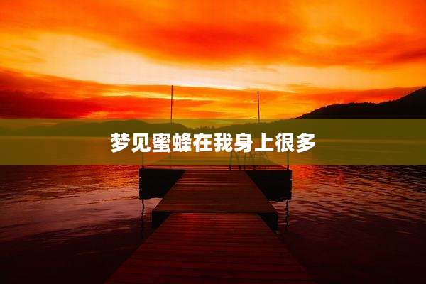 梦见蜜蜂在我身上很多