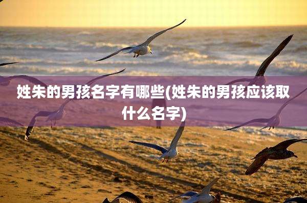 姓朱的男孩名字有哪些(姓朱的男孩应该取什么名字)