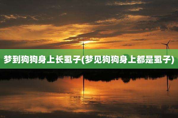 梦到狗狗身上长虱子(梦见狗狗身上都是虱子)