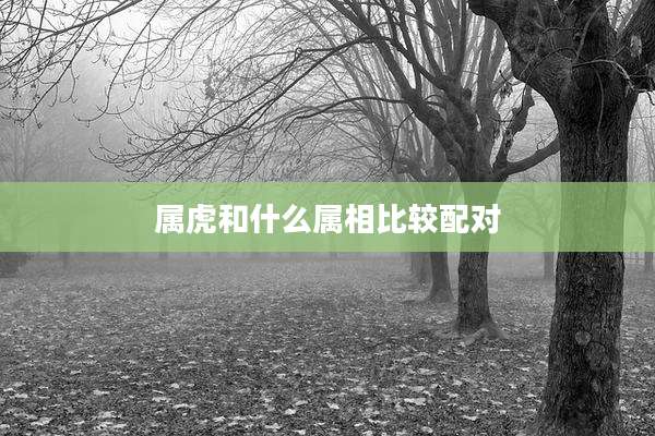 属虎和什么属相比较配对