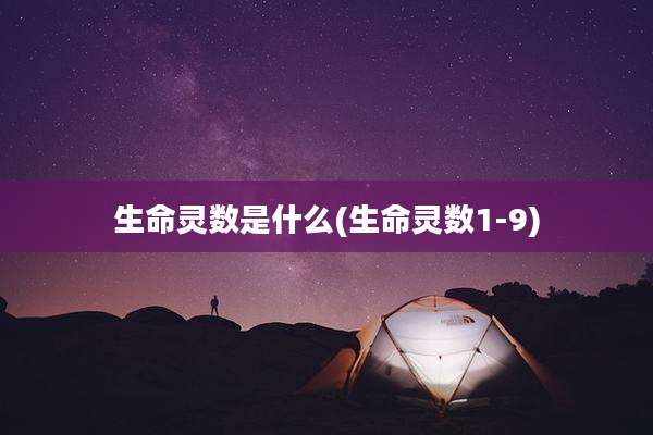 生命灵数是什么(生命灵数1-9)