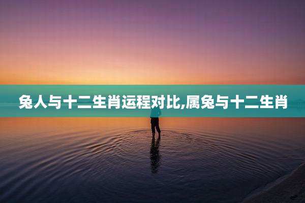 兔人与十二生肖运程对比,属兔与十二生肖