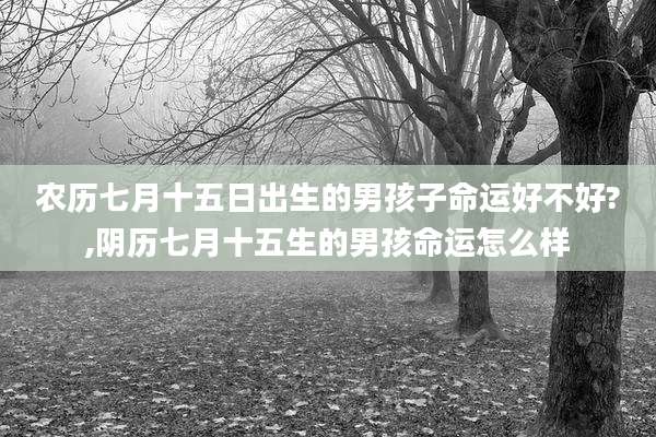 农历七月十五日出生的男孩子命运好不好?,阴历七月十五生的男孩命运怎么样