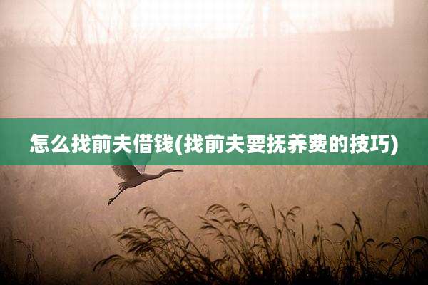怎么找前夫借钱(找前夫要抚养费的技巧)