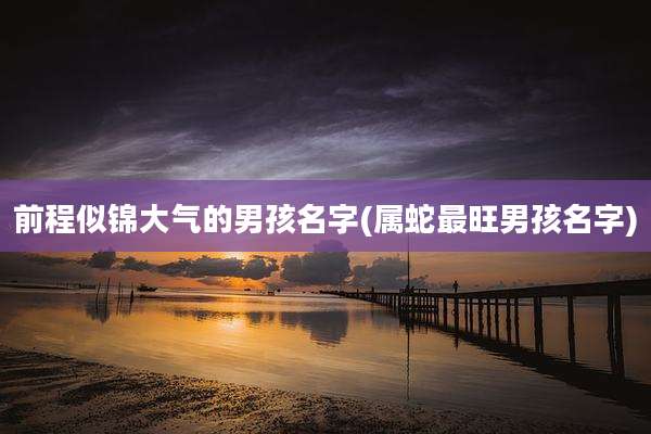 前程似锦大气的男孩名字(属蛇最旺男孩名字)
