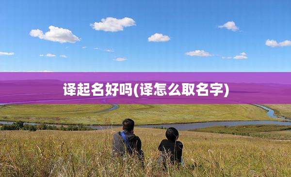 译起名好吗(译怎么取名字)