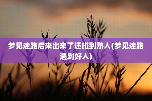 梦见迷路后来出来了还碰到熟人(梦见迷路遇到好人)