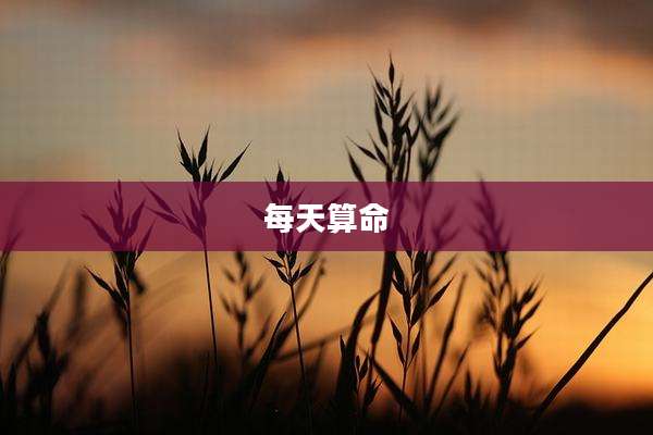 每天算命