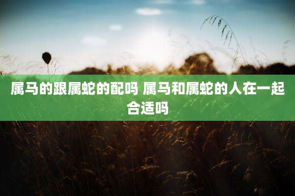 属马的跟属蛇的配吗 属马和属蛇的人在一起合适吗