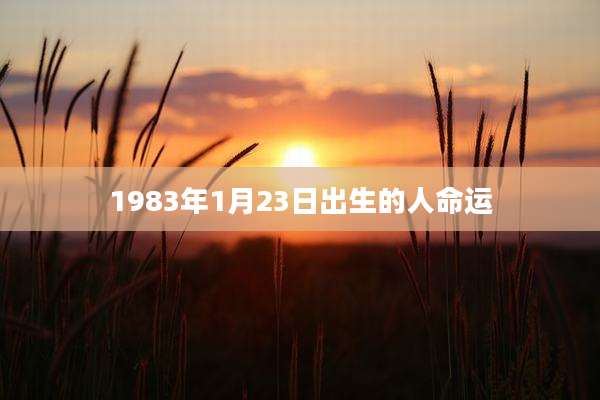1983年1月23日出生的人命运