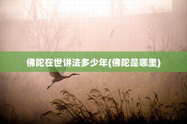 佛陀在世讲法多少年(佛陀是哪里)